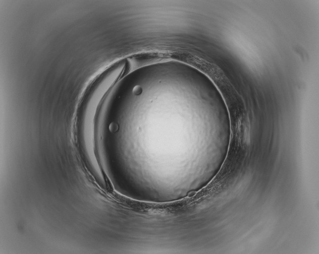 X0000112880388200909041645