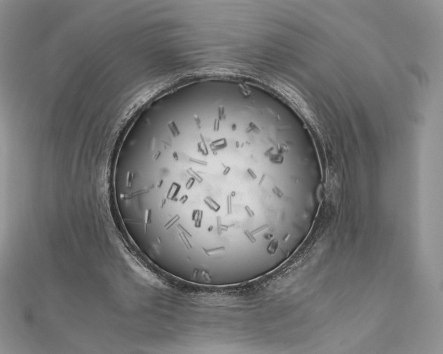 X0000112880389200909041645