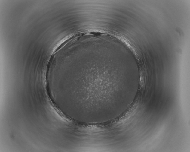 X0000112880390200909041645