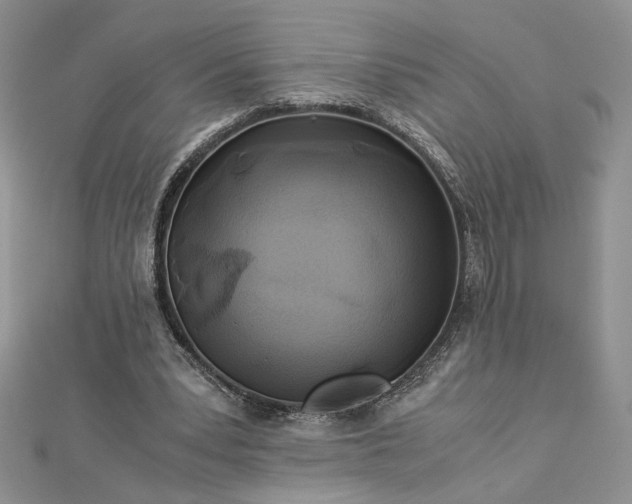 X0000112880391200909041645