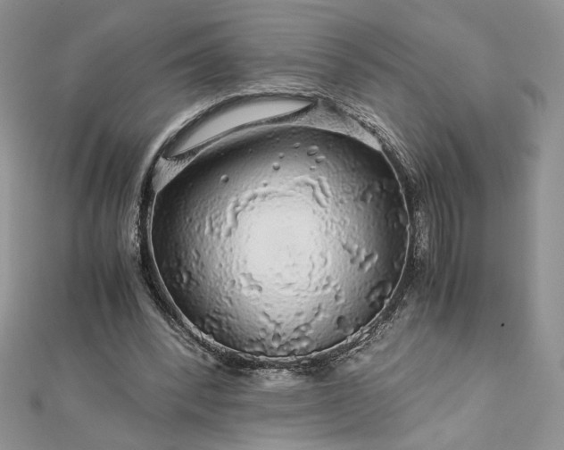 X0000112880392200909041645