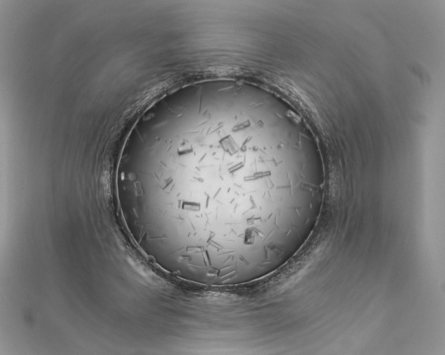 X0000112880393200909041645