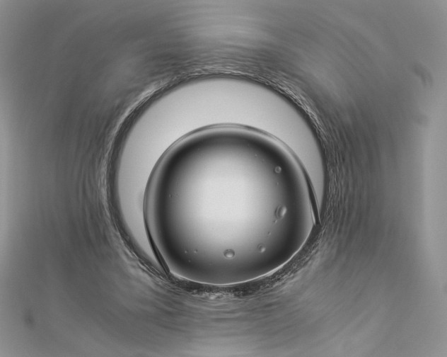 X0000112880395200909041645