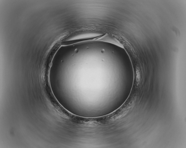 X0000112880396200909041645