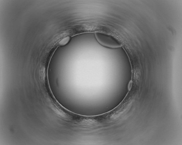 X0000112880397200909041645