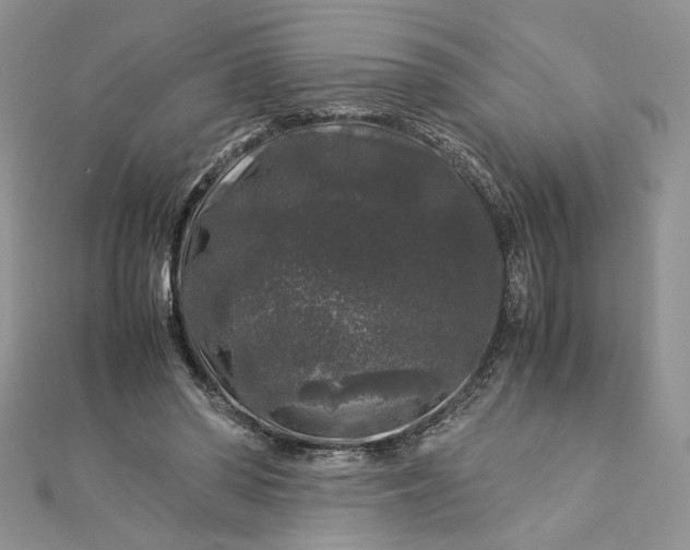 X0000112880398200909041645