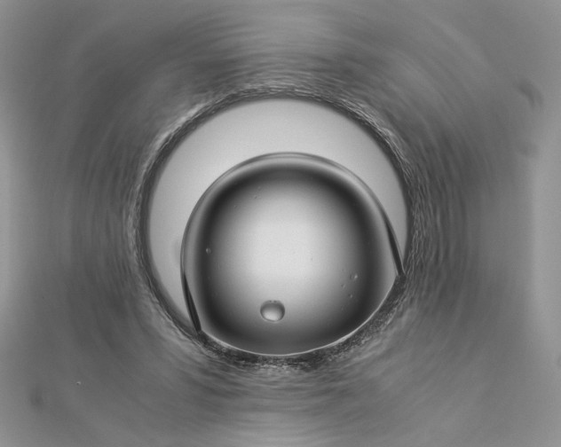 X0000112880399200909041645