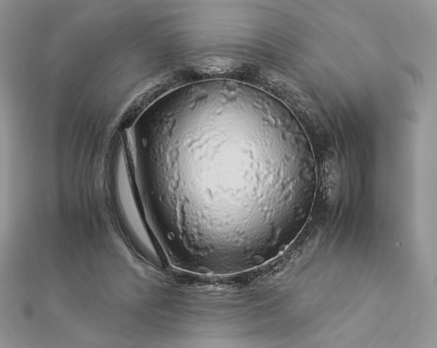 X0000112880400200909041645