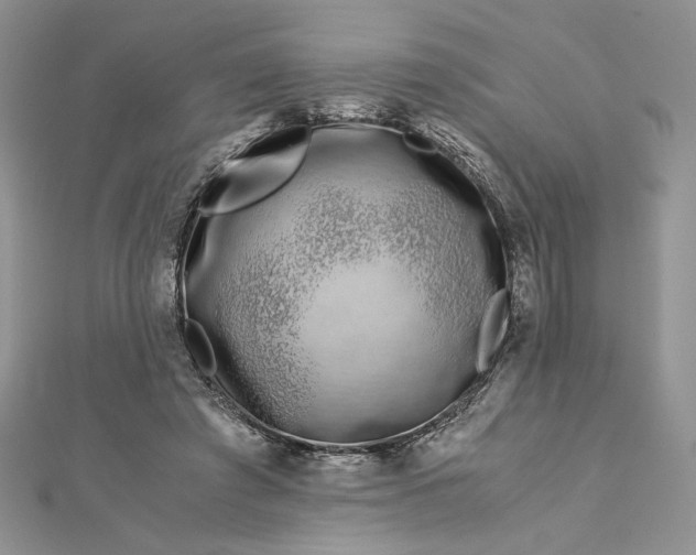 X0000112880401200909041645