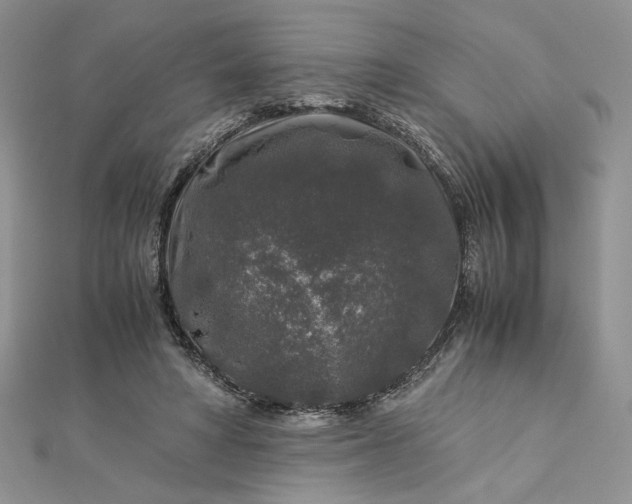 X0000112880402200909041645