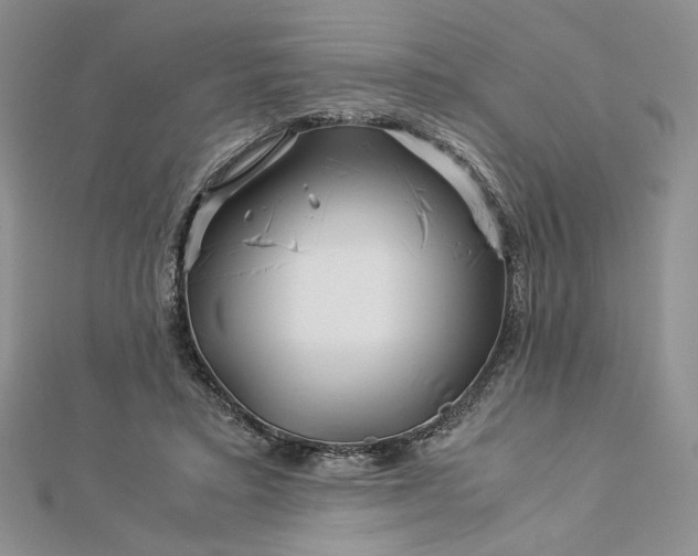 X0000112880403200909041645