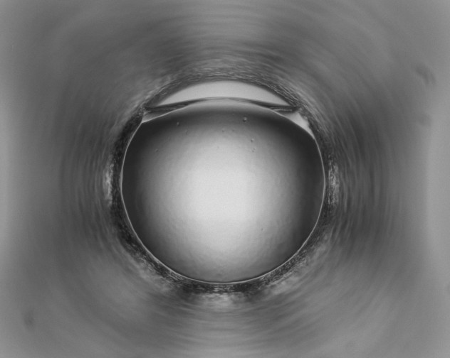 X0000112880404200909041645