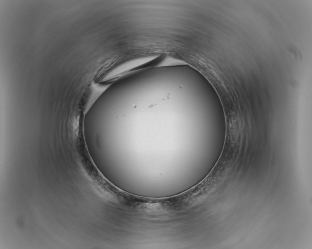 X0000112880406200909041645