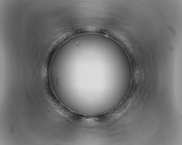 X0000112880407200909041645