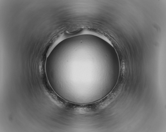 X0000112880408200909041645