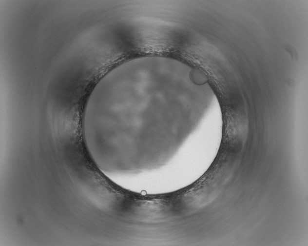 X0000112880411200909041645