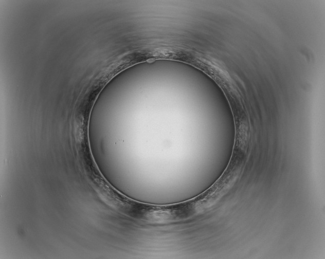 X0000112880413200909041645