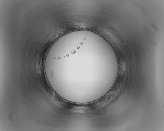 X0000112880414200909041645