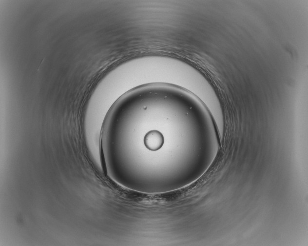 X0000112880415200909041645