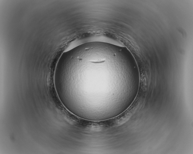 X0000112880416200909041645