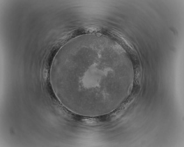 X0000112880417200909041645