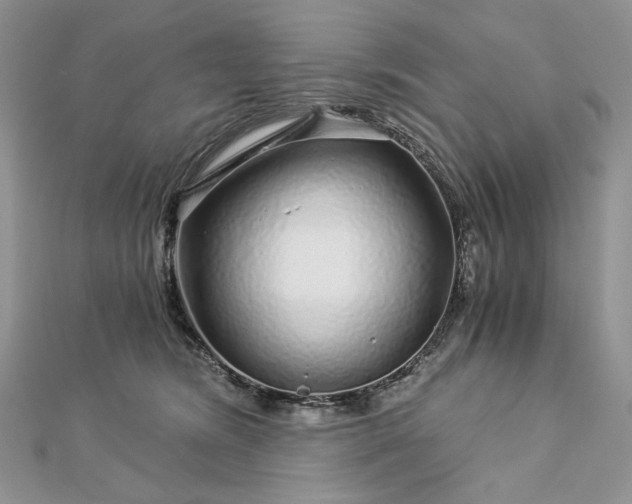 X0000112880420200909041645