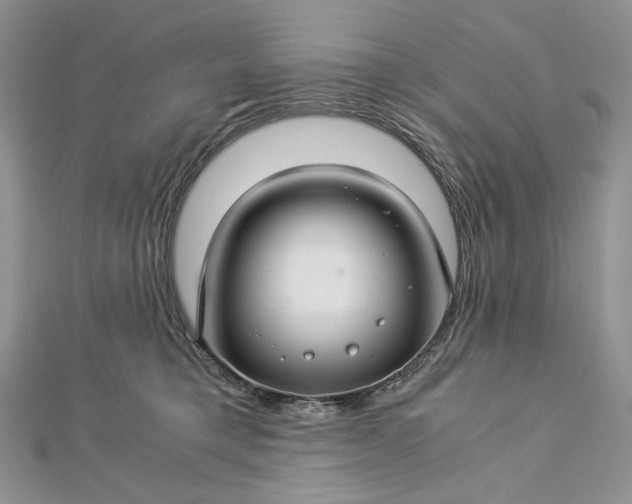 X0000112880421200909041645