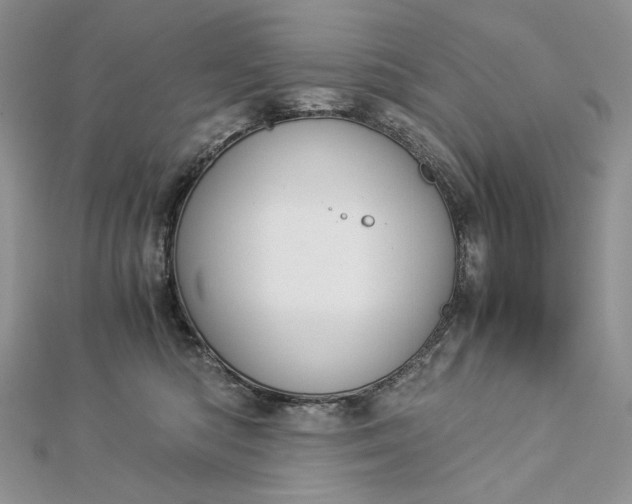 X0000112880422200909041645