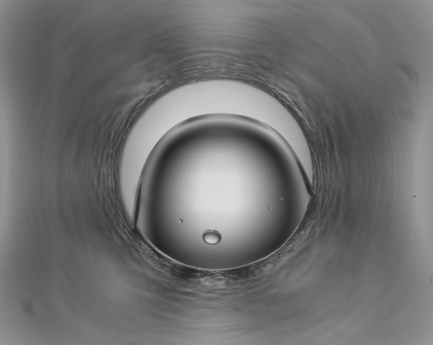 X0000112880423200909041645