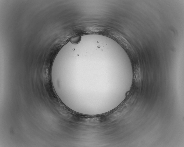 X0000112880426200909041645