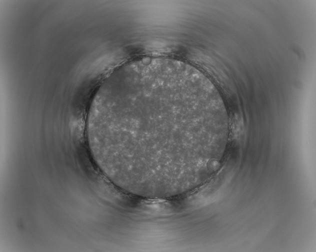 X0000112880427200909041645