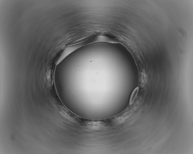 X0000112880428200909041645