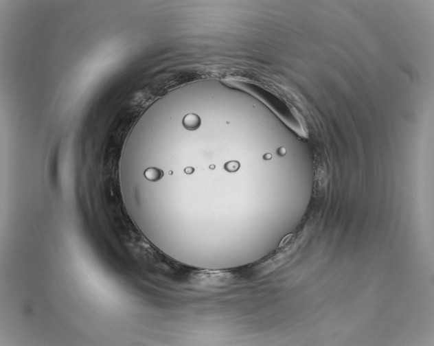 X0000112880429200909041645