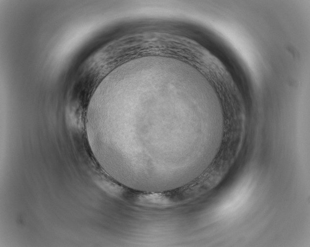 X0000112880431200909041645