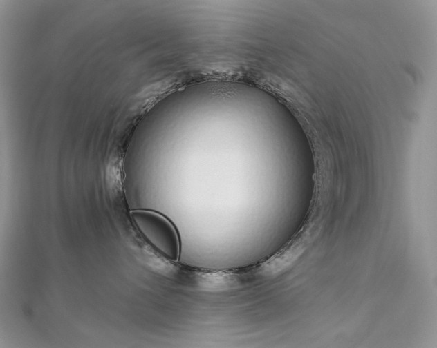 X0000112880432200909041645