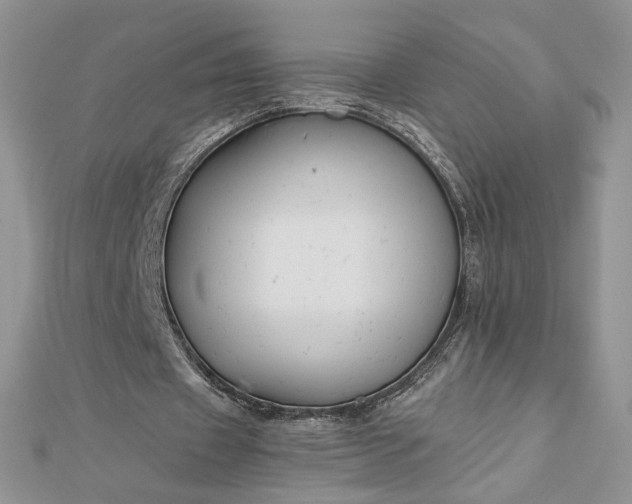 X0000112880433200909041644