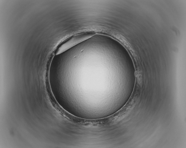 X0000112880434200909041644