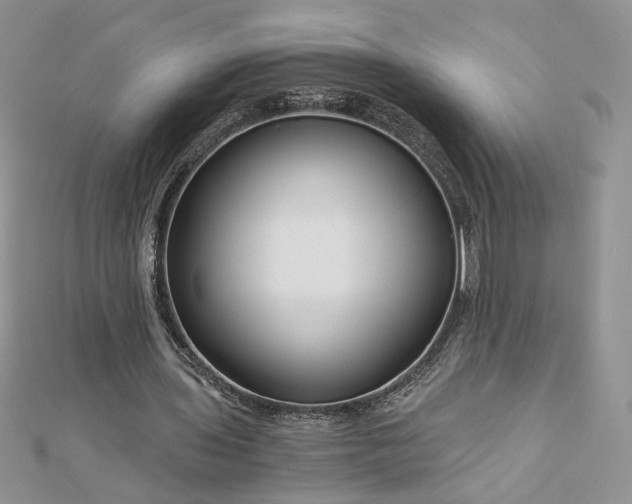 X0000112880435200909041644