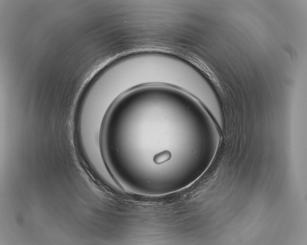 X0000112880436200909041644