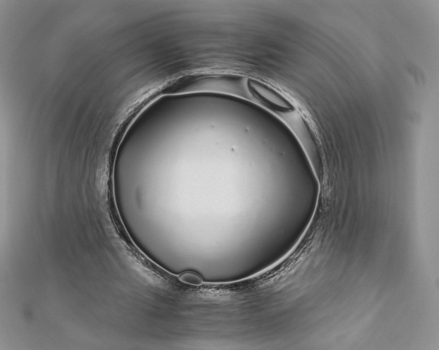 X0000112880437200909041644