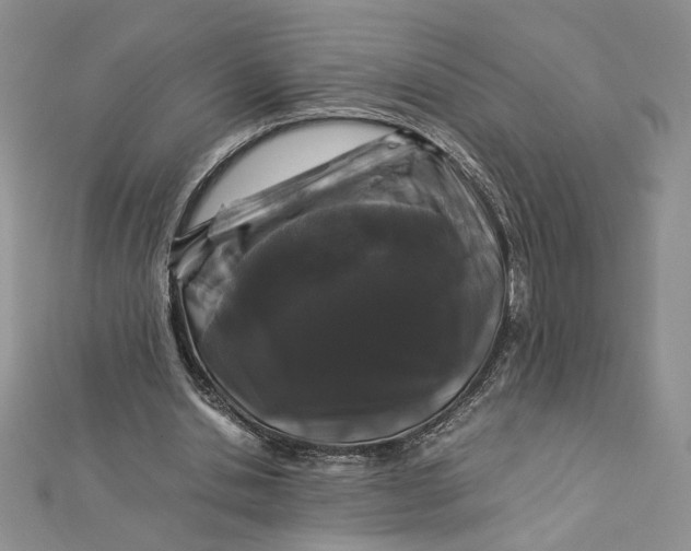 X0000112880438200909041644