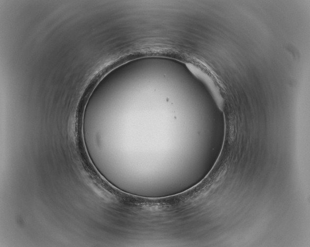 X0000112880439200909041644