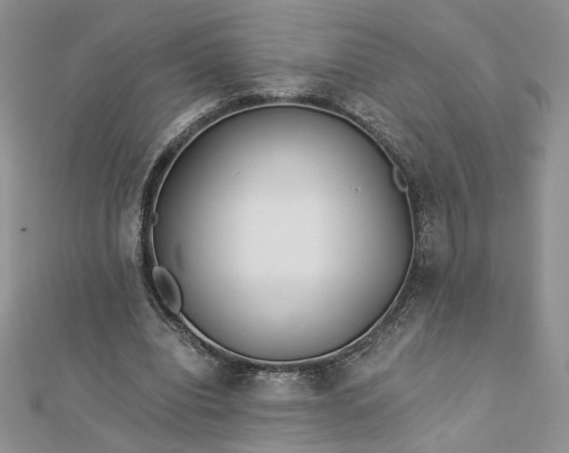 X0000112880440200909041644