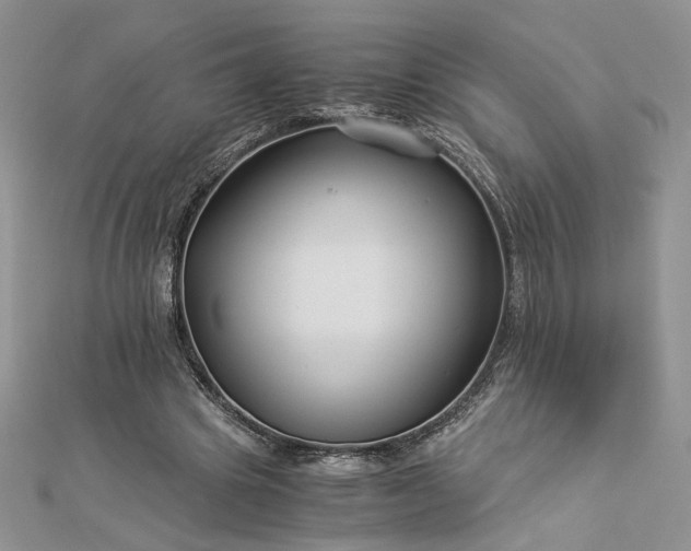 X0000112880441200909041644