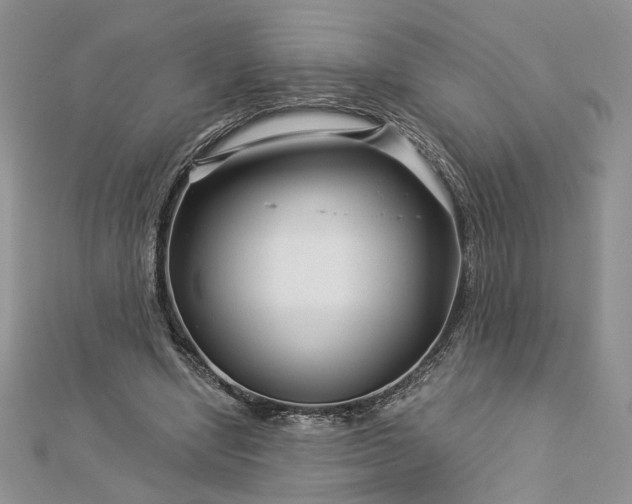 X0000112880442200909041644