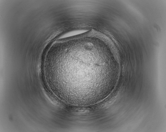 X0000112880443200909041644