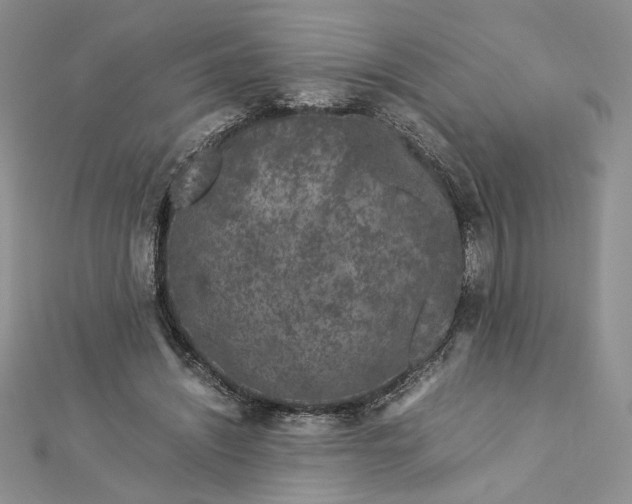 X0000112880444200909041644