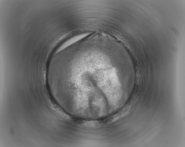 X0000112880446200909041644