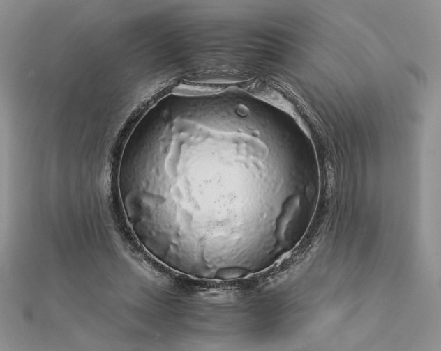 X0000112880447200909041644