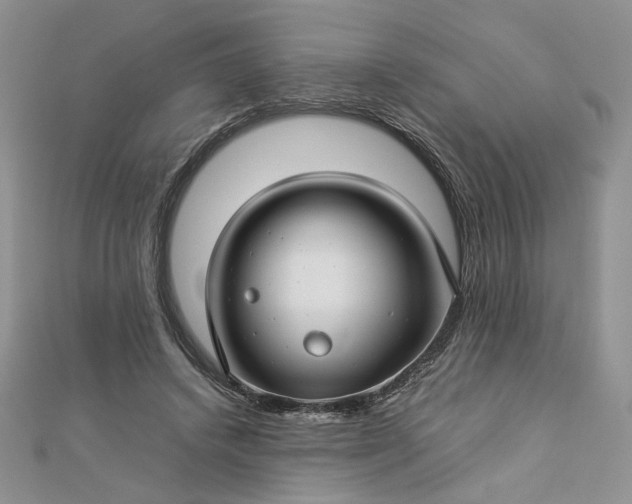 X0000112880448200909041644